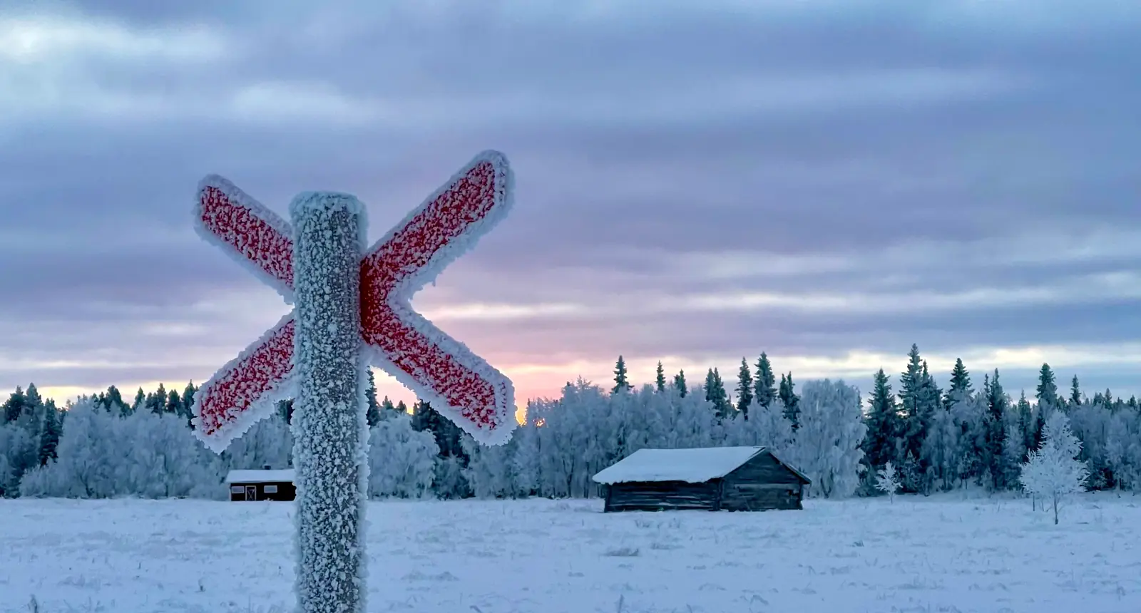 Guests enjoying nature-based activities near ÁILU Arctic Hotel Apartments in Swedish Lapland, with seasonal adventures from northern lights and dog sledding to summer hikes and lake swims
